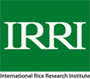 IRRI